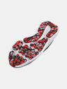 Under Armour Topánky Under Armour UA BGS Assert 10-GRY