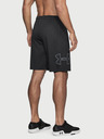 Under Armour Pánske kraťasy Under Armour Tech Graphic Short