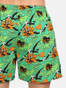 Styx Zelené pánske domáce šortky s vreckami Styx Tropic