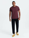 Ombre Clothing Pánske klasické bavlnené tričko BASIC Ombre Oblečenie