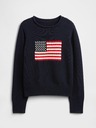 GAP Chlapčenský sveter Americana GAP