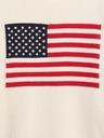 GAP Sveter Gap Americana GAP