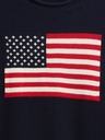 GAP Sveter Gap Americana GAP