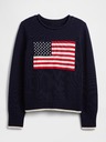 GAP Sveter Gap Americana GAP