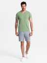 Ombre Clothing Klasické bavlnené pánske tričko BASIC s výstrihom do V - zelené V11 OM-TSBS-0145 Ombre Clothing