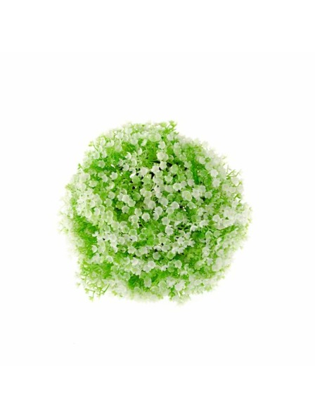 Casa de Engel Buxus s bielou kytičkou, 0/120