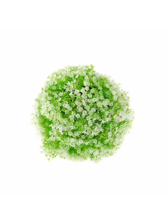 Casa de Engel Buxus s bielou kytičkou, 0/120