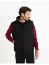 Celio Vesta Fujessy