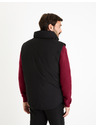 Celio Vesta Fujessy