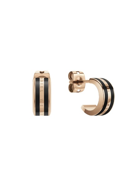 Daniel Wellington Oceľové náušnice Daniel Wellington DW00400310