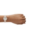 Emporio Armani Dámske hodinky Emporio Armani CLEO AR11499