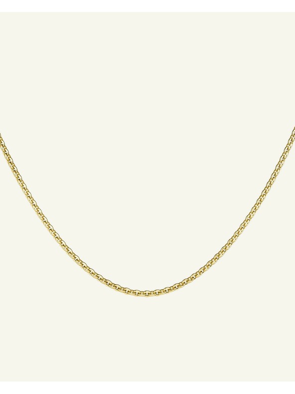 Rosefield Rosefield náhrdelník zlatej farby Thin Chain JNOLG-J624