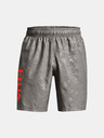 Under Armour Pánske krátke nohavice Under Armour Woven Emboss Shorts