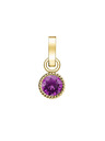 Rosefield Rosefield prívesok zlatej farby Birthstone February farba