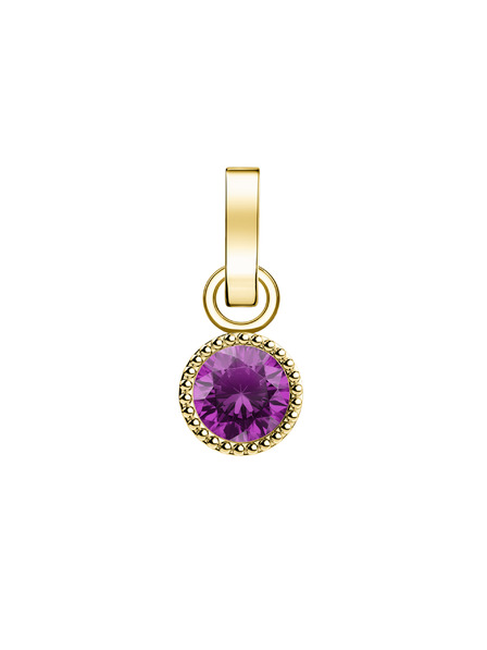 Rosefield Rosefield prívesok zlatej farby Birthstone February farba
